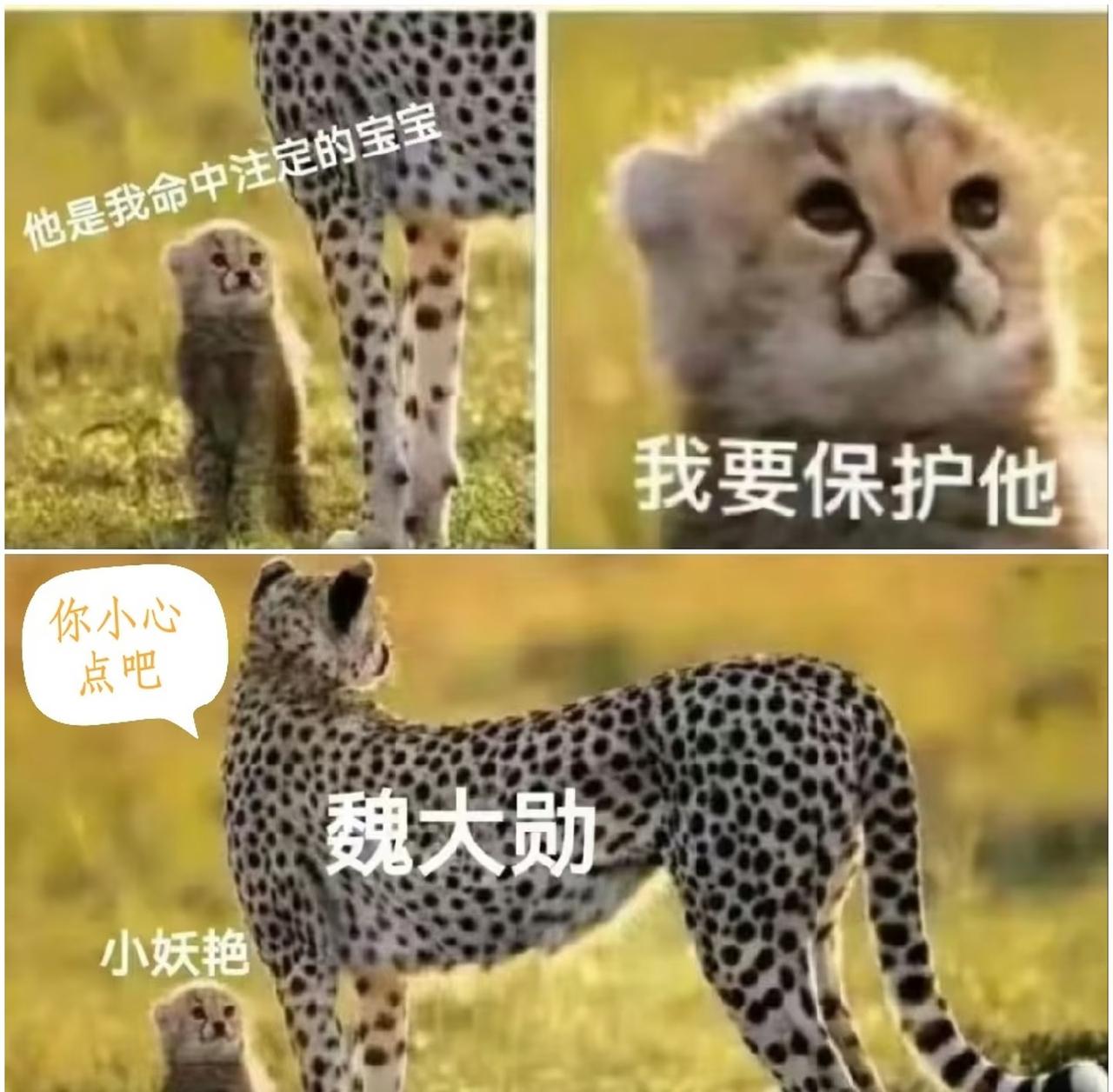 一天天的就是更新梗图最快了​