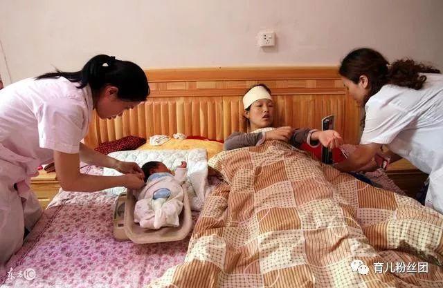 怀孕期婆婆养了很多土鸡, 产后却一只吃不上!