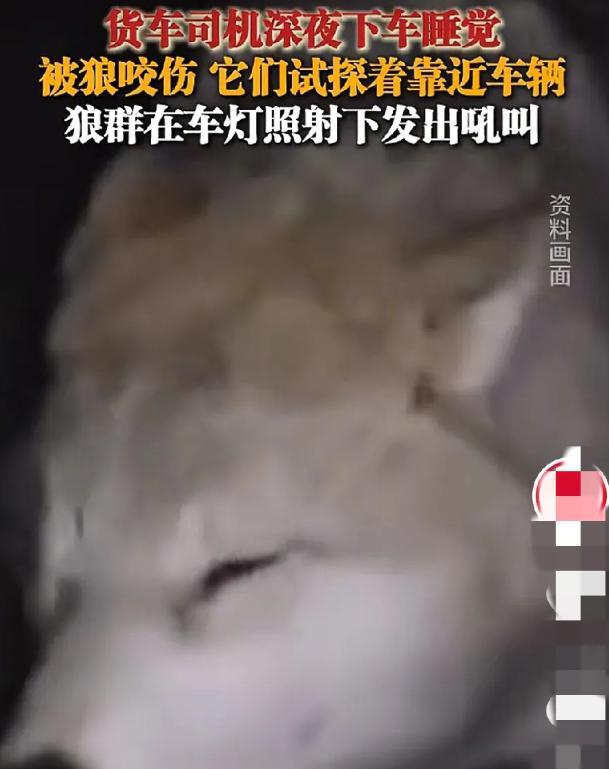 5月17日新疆哈密331国道上，有个大货车司机可真“虎”！放着暖和驾驶室不睡，偏