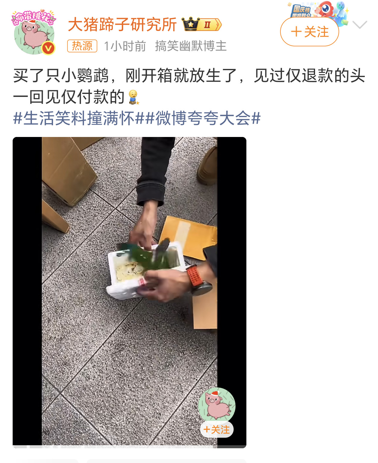 头一回见仅付款的鹦鹉：这是飞一样的感觉
