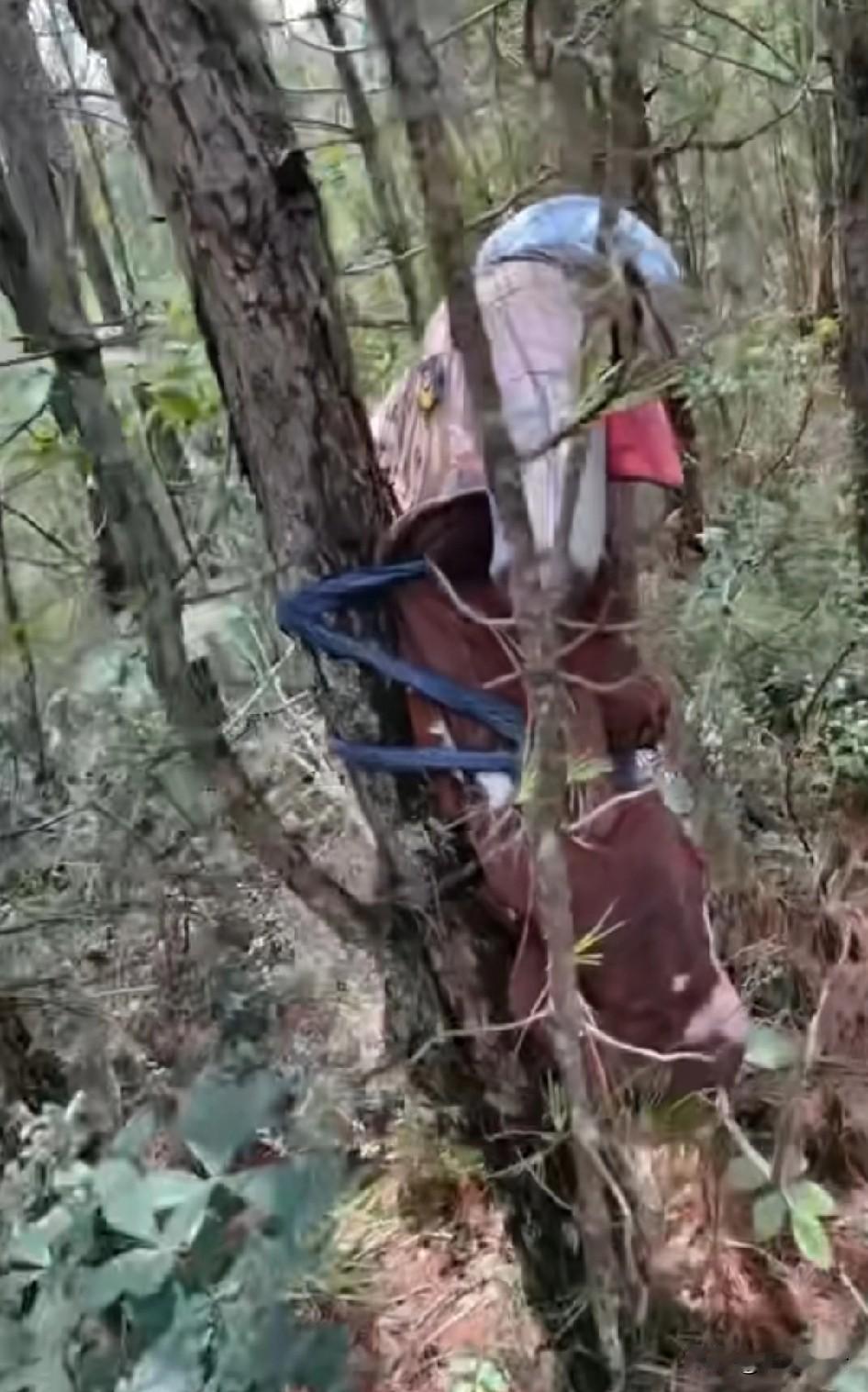 野外真是吓人，太吓人了，干嘛要在山里搞个假人绑树上，太坏了！这是诅咒他人？没有