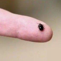 儿子睡亡母生前床上感染同种病毒，他86岁的母亲身体一向硬朗，平时总爱打理菜地，可