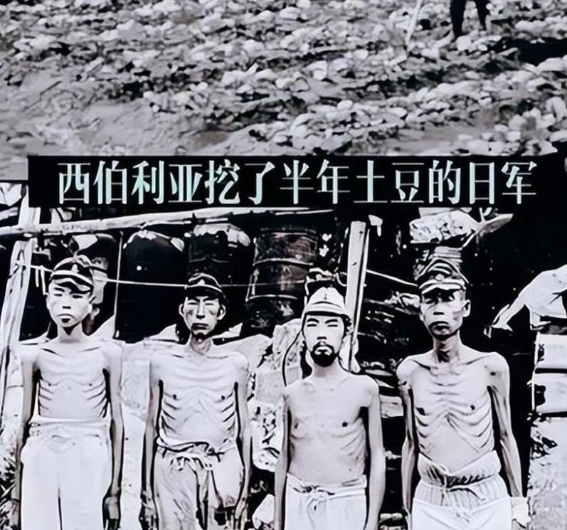 1945年，日军被苏联红军被押往了寒冷的西伯利亚。后来，活下来的日军战俘哭着回忆