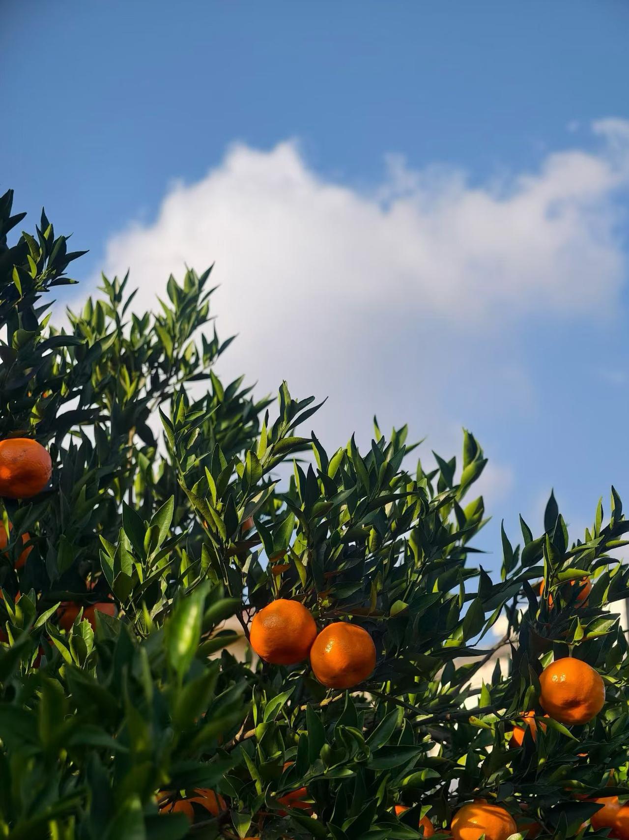 最好医生就是你转瞬到人生暮年身体大不如从前世上最好的医生其实就是你自己