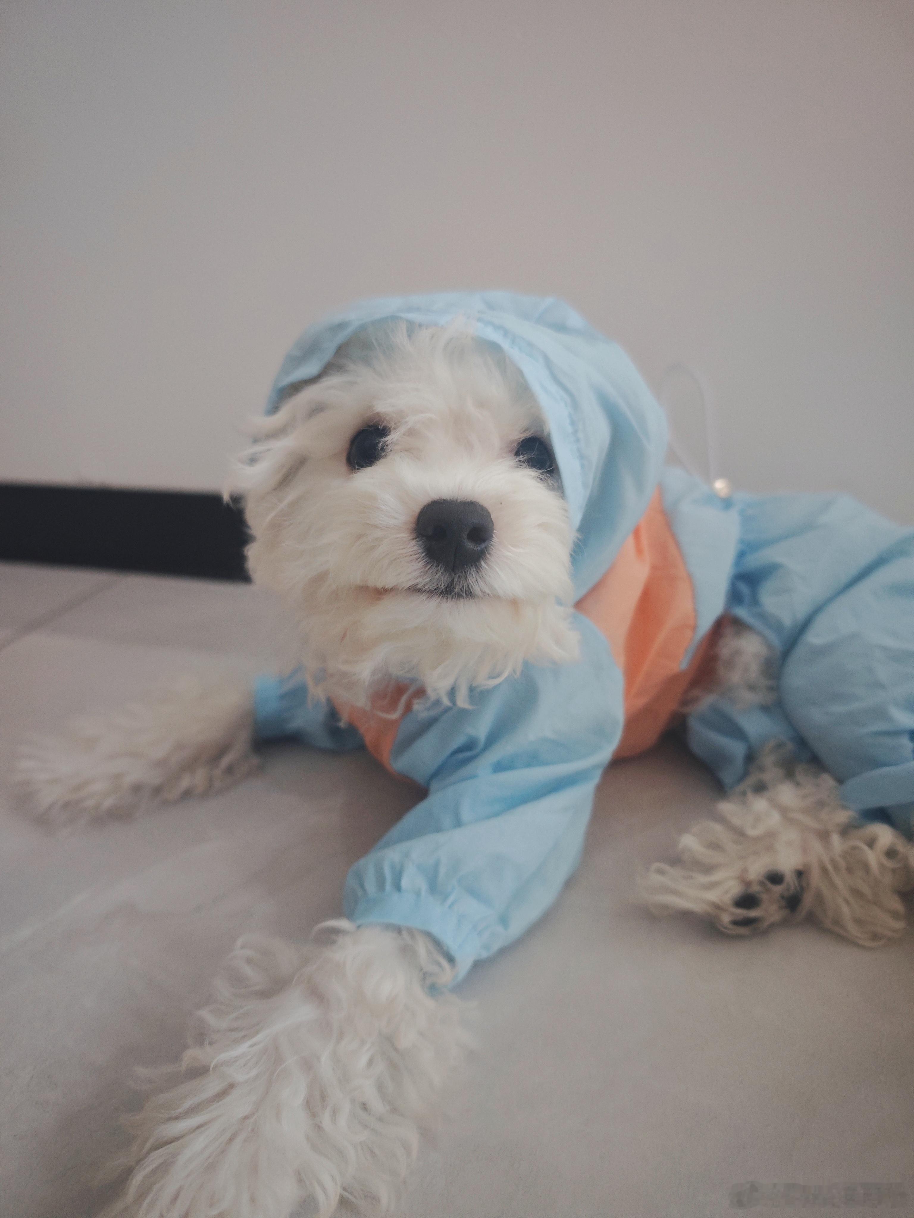 豆豆：给姨姨们看看我的新衣服。