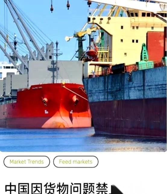 一船69000吨的大豆，直接被咱们拒之门外了。巴西来的。有人觉得咱们市场大，