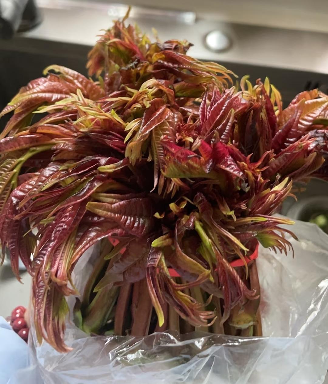 终于弄明白了！为什么越来越多人坚持：香椿必须焯水不是因为讲究，也不是因为矫情