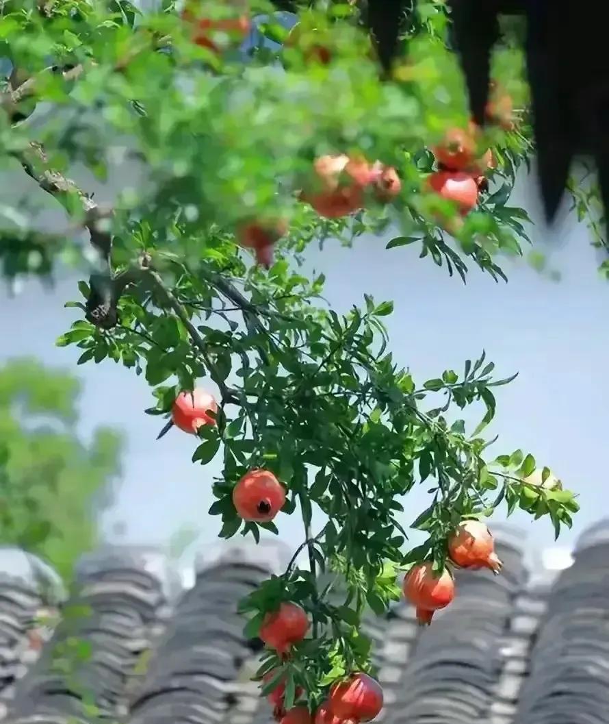 刘震云说：“世界上有3件事最愚蠢，一是把钱借出去，等别人主动还；二是闷头做事