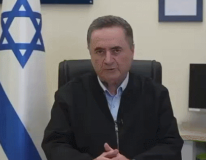 以色列国防部长刚刚公布了其针对黎巴嫩南部的计划。以色列国防军将于黎巴嫩境内建