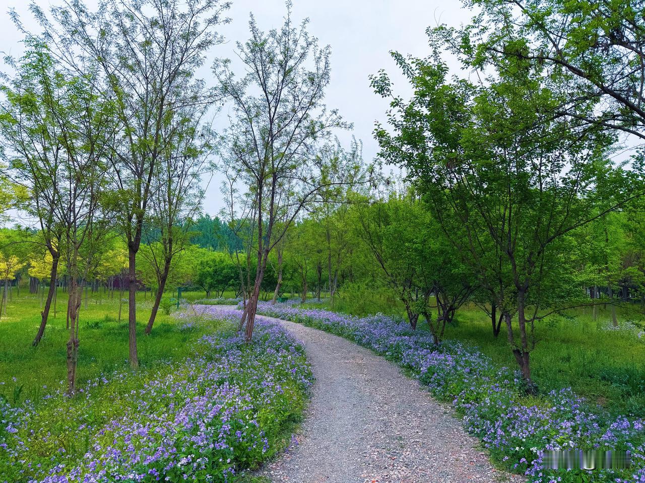 中老年人悄悄变年轻的3个小习惯，不用花钱，越早坚持越显年轻。友友们，很多人总