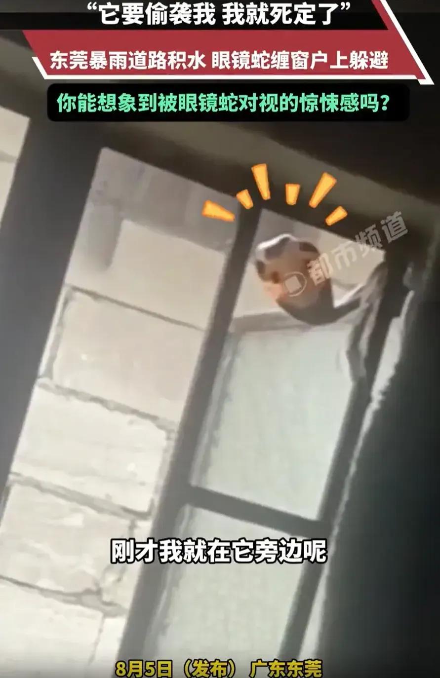 “太可怕了！”广东东莞，一男子暴雨天在家里休息，往窗外看雨的时候发现窗户上好像伸
