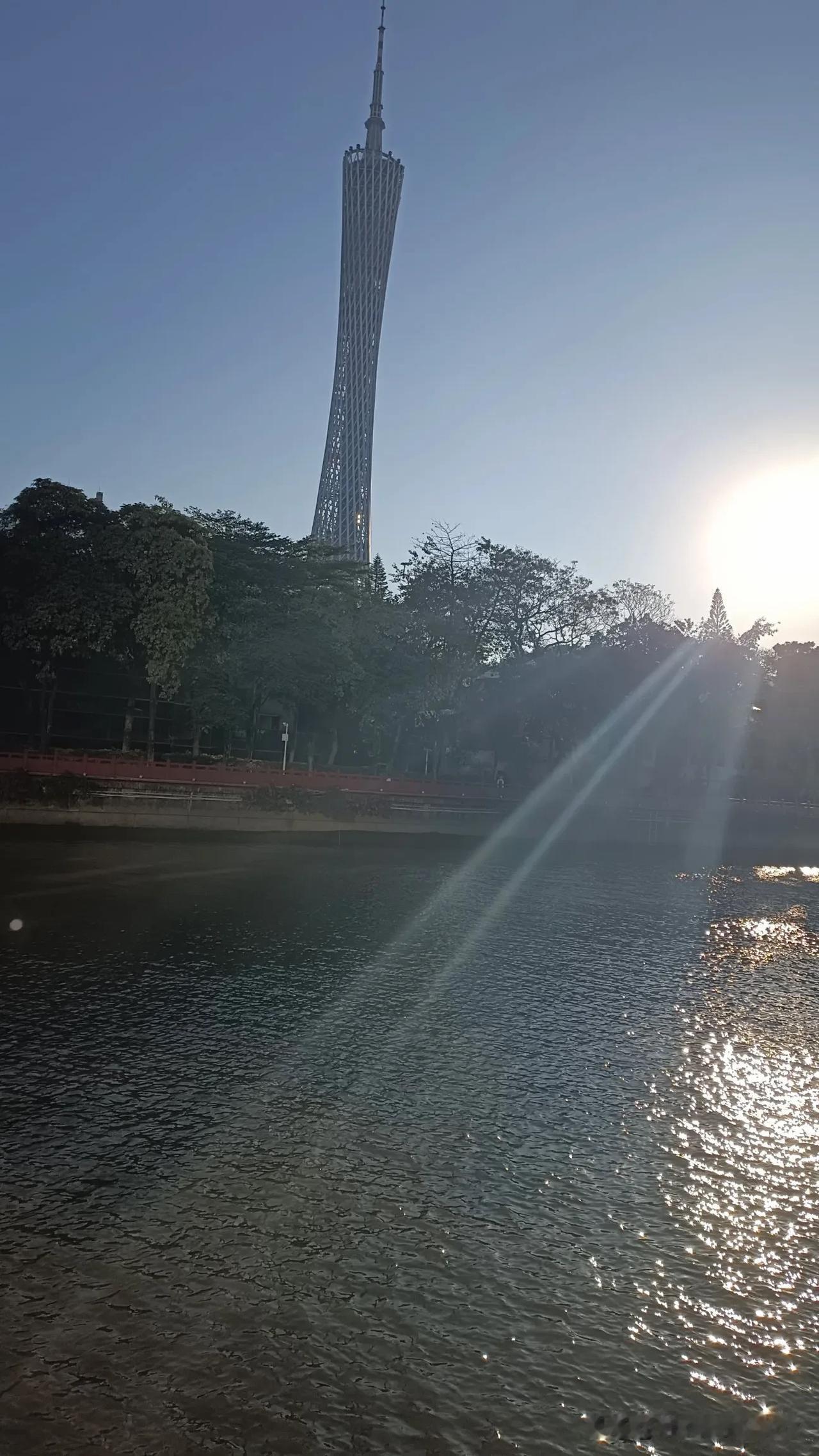 1月2号的广州冬天，大太阳简直太给面子了！虽说有较强冷空气，可阳光一露脸，氛围