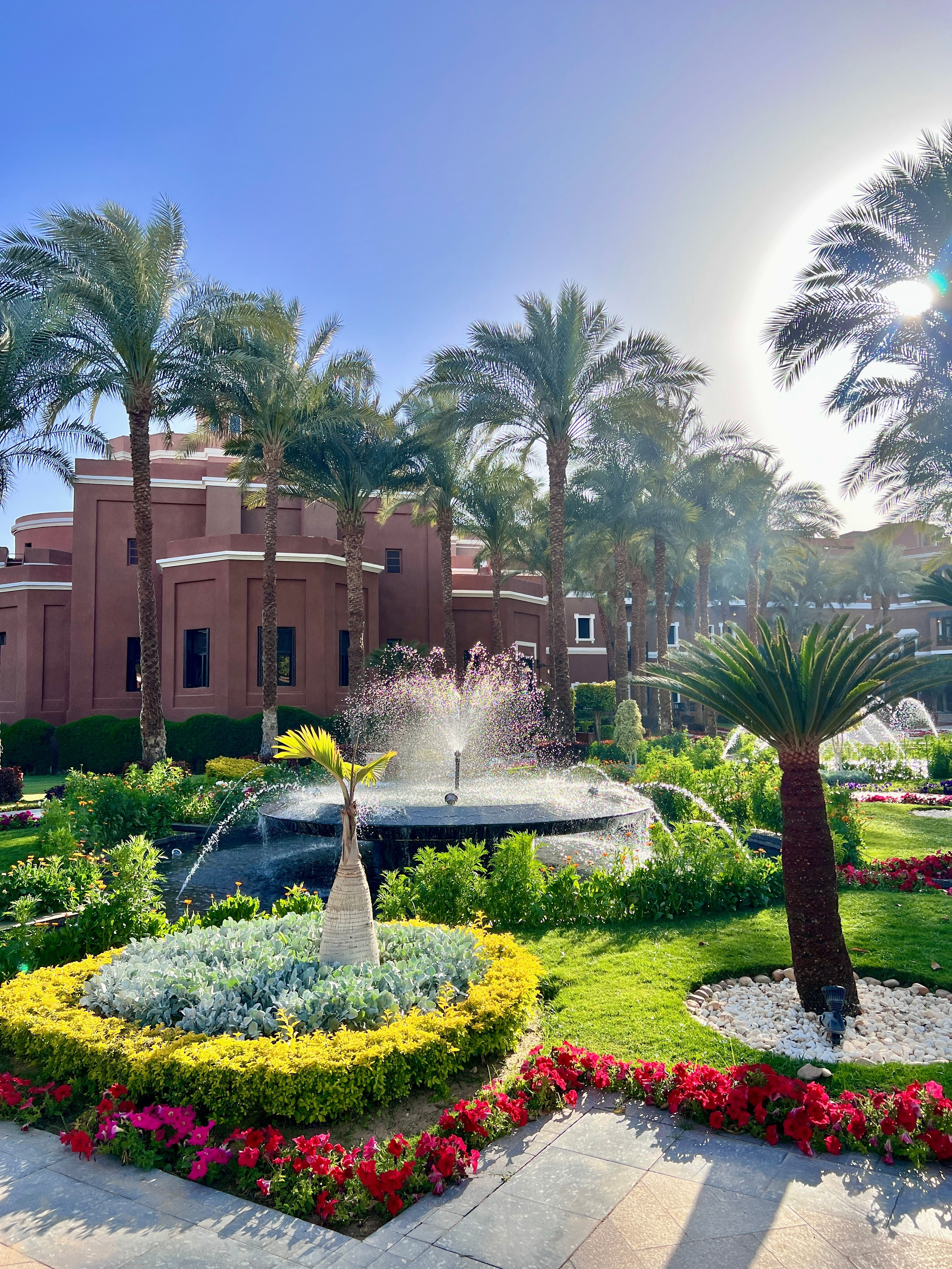 尼罗河怎么可以这么美🌴生活手记埃及