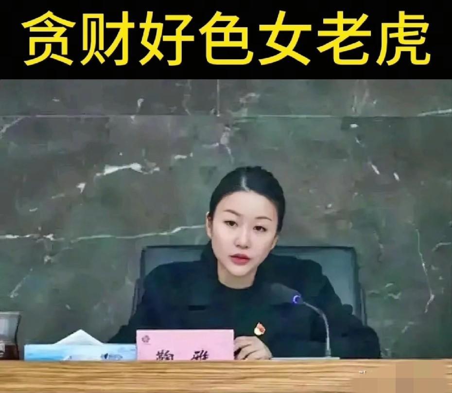 鞠雅这升迁速度快得让人有点恍惚。21岁大学毕业，26岁提了副科，35岁直接掌