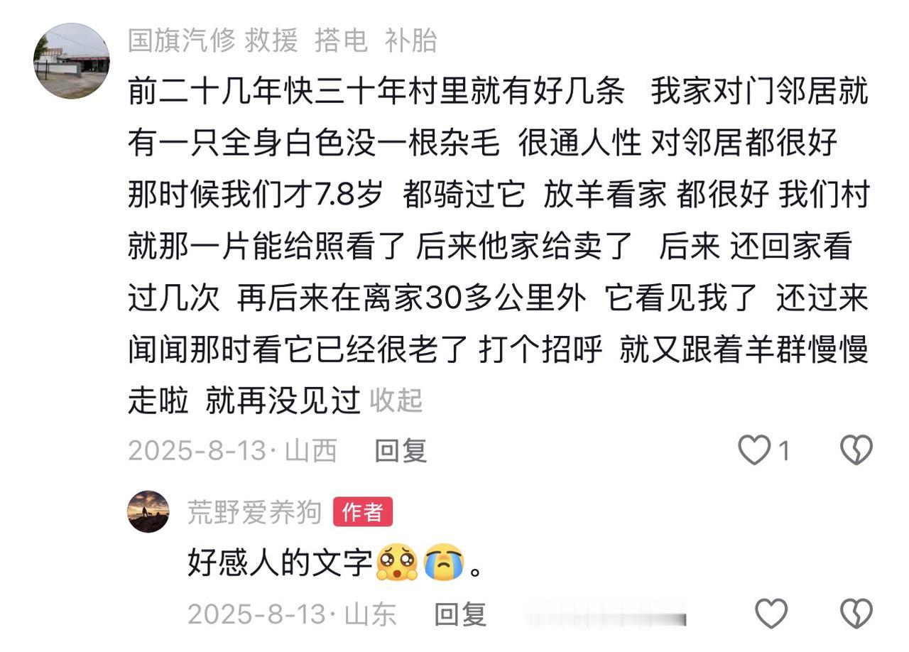这段山西网友讲述的笨狗故事真的很感人，感谢您的分享，故事中的狗非常棒，它放羊看家