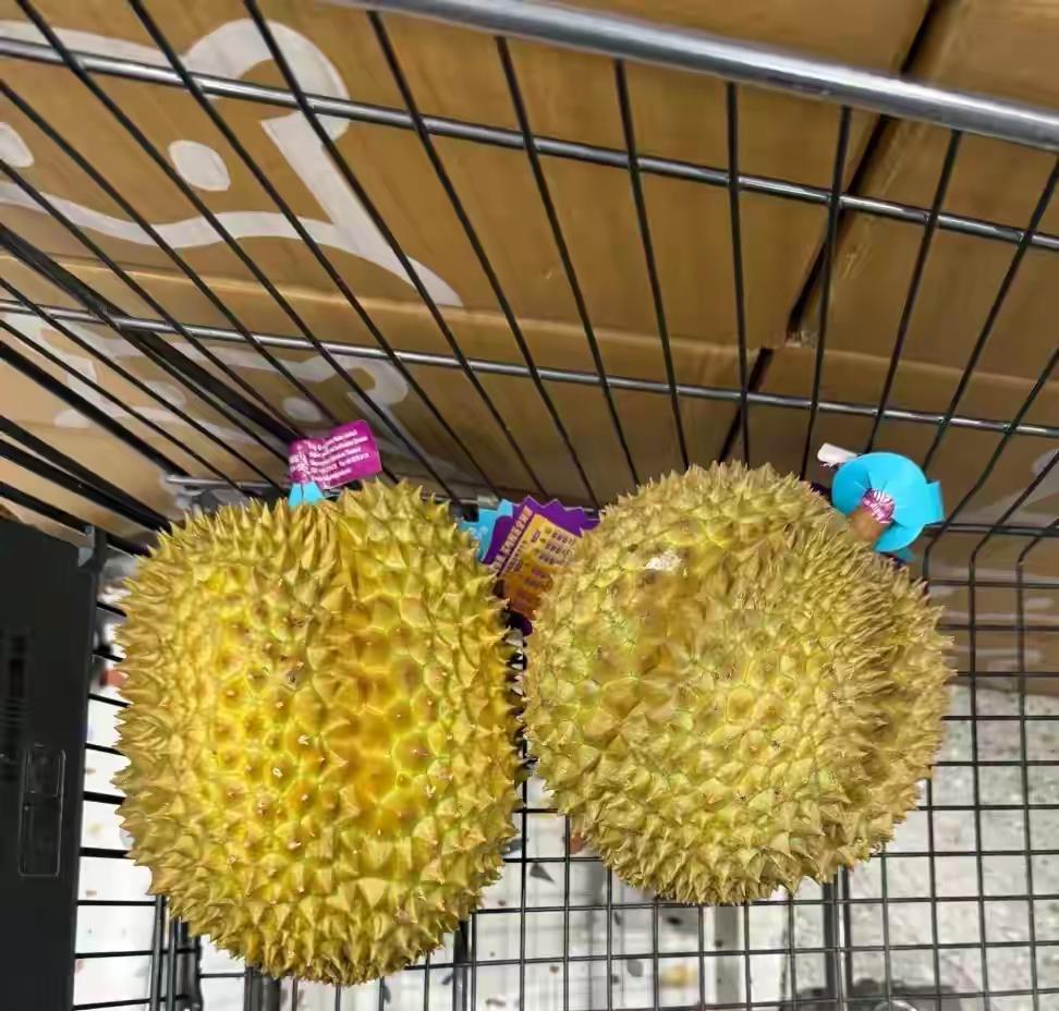 有个脸皮厚的小姑子和偏心吃里扒外的婆婆太讨厌了，日子没一天顺心的！昨天，