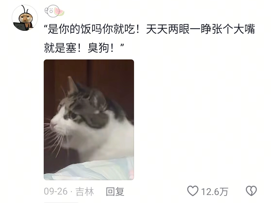 被打是有原因的