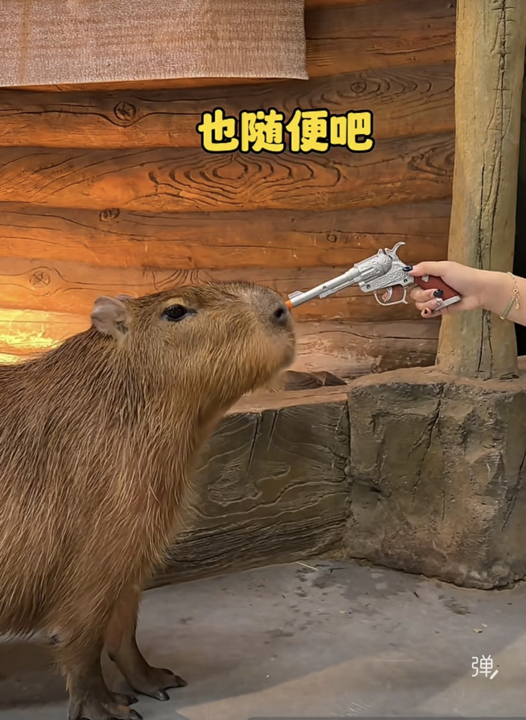 为何网友普遍不服南博原院长判决：法理与大众朴素正义观的撕裂（一）2026年9月16日，南京博物院原院