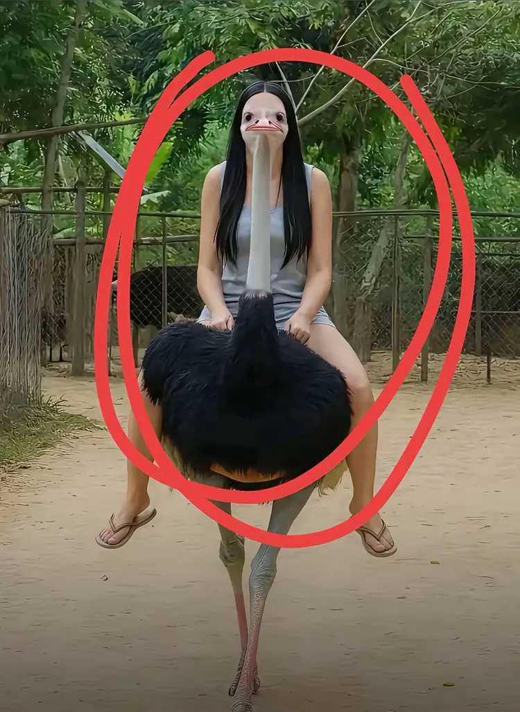 女朋友非要骑着鸵鸟拍照。不给她拍，她说他没有生活情趣。给她拍了，她看照片后又