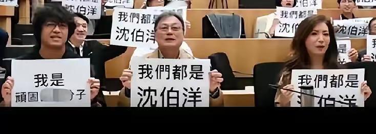 在我们都是沈伯洋的图片中，除了沈伯洋外，还有一男一女形象特别清晰，这两人大概也是