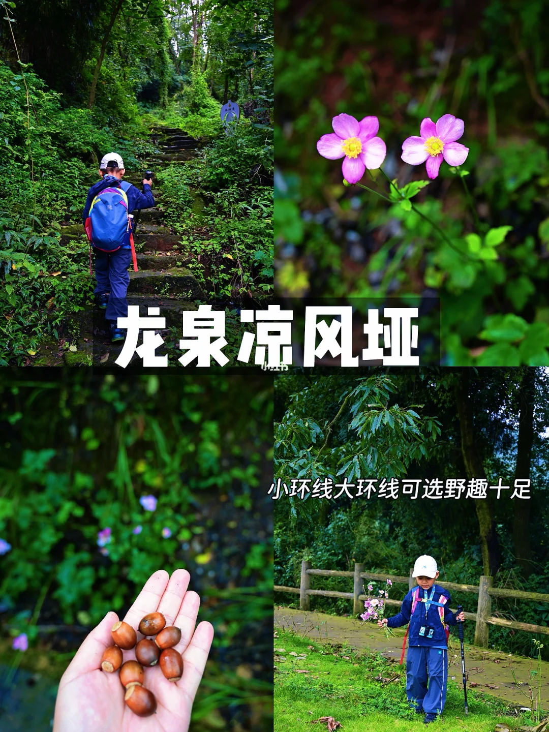 南门1h直达‼️ 龙泉山小众亲子徒步秘境🌳