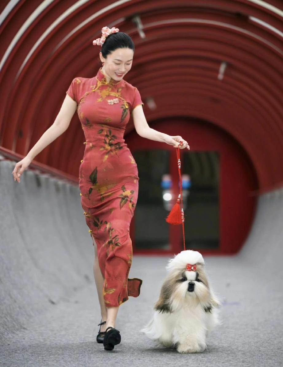 霍思燕手牵的犬展国际冠军霍香香并不吸引眼球，炸裂的是霍思燕那前凸后翘的魔鬼身材。