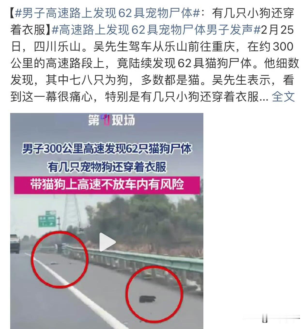 2月25日，四川乐山至重庆的一段高速公路上，短短300公里的路段，一天之内竟散落