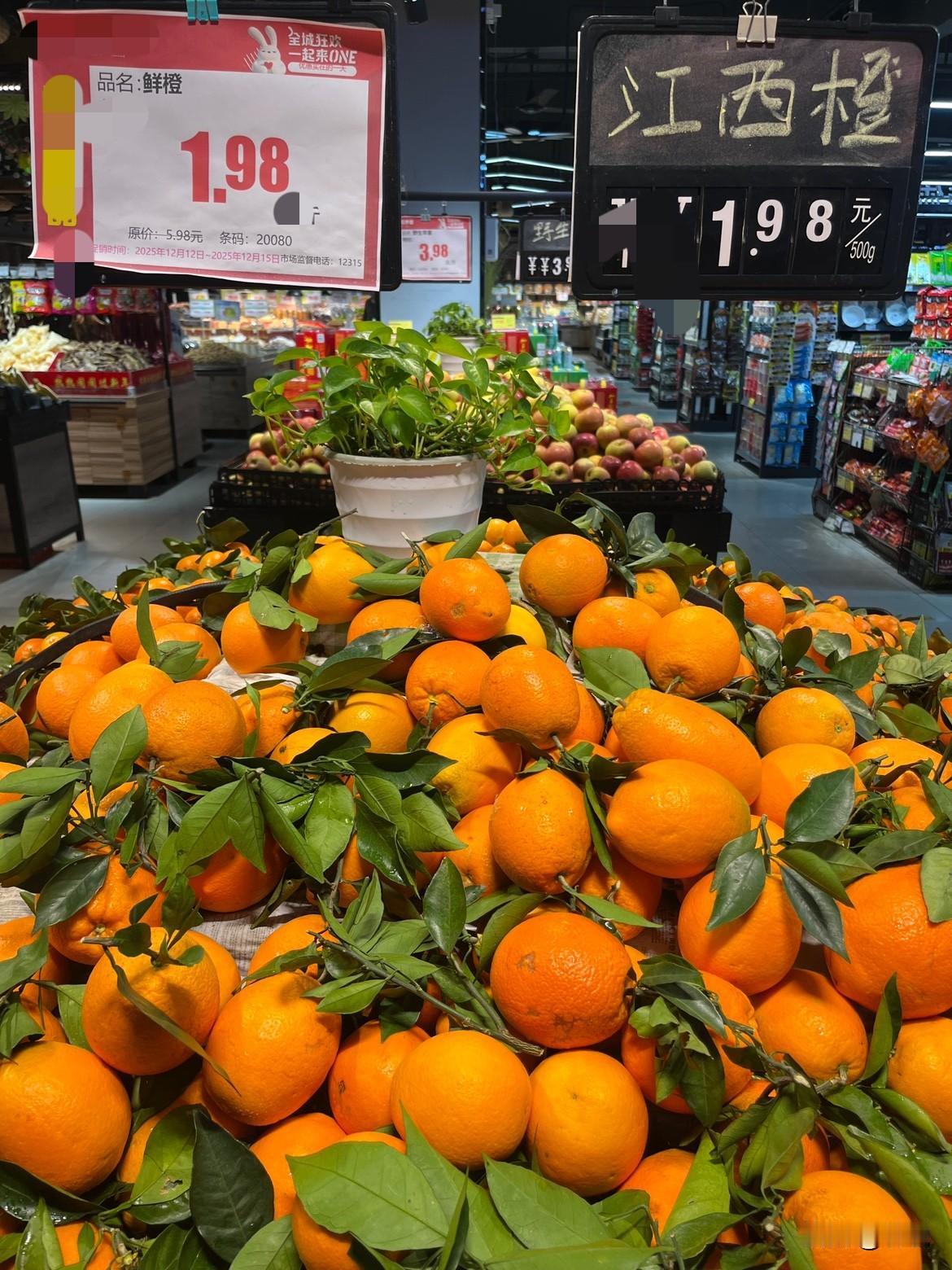 今年的橙子是不是大丰收啊网络各大直播间都在白菜价处理，朋友圈也有好多朋友