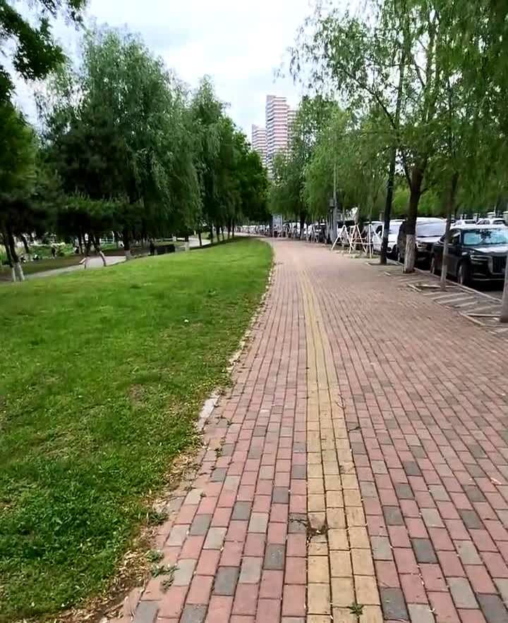 德系电动车项目黄了。某知名德系品牌主机厂的电动车项目已经黄了，不久就会关