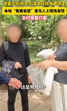 真是胆大包天！5月4日，杭州太子湾公园内，一名游客假装闲逛，猝然俯身将一只毛茸茸