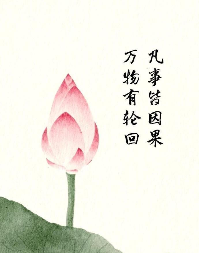 自己刚过50岁的生日，发觉到了这个年纪，会多了一些敬畏和信仰，当然这里的信仰不一