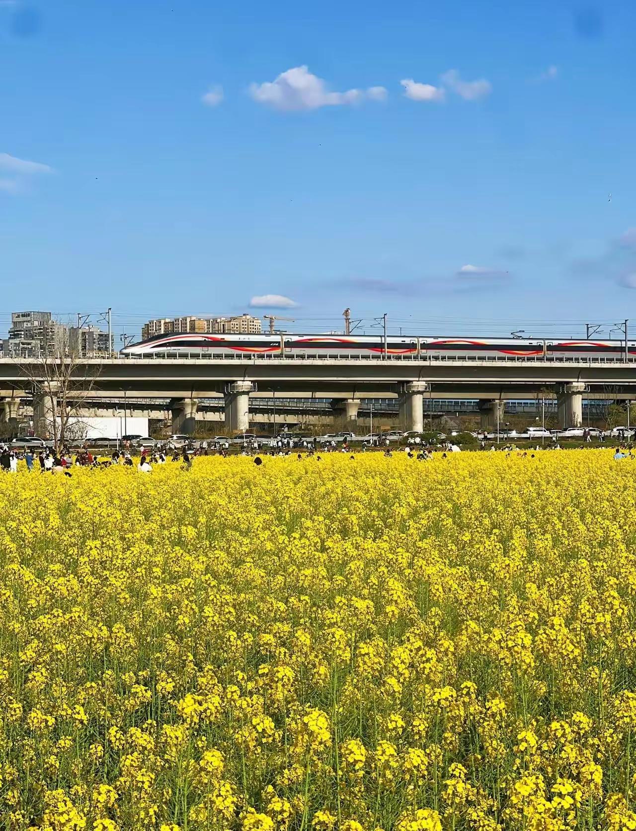 亲戚相处，不用讨好、不用疏远，守住这几条，舒服又不内耗：1. 少评价，多闭