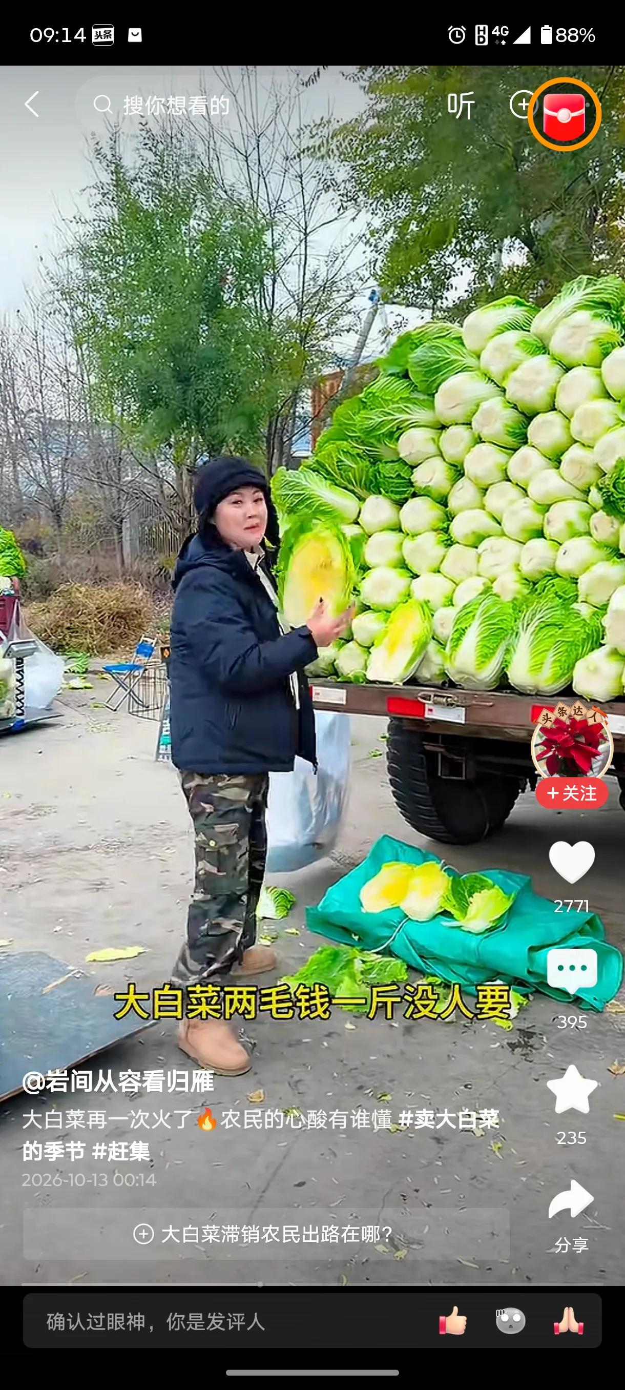 黑龙江齐齐齐哈尔依安县，今年大葱火了，今年大白菜也是如此。大包大白菜两毛钱一斤