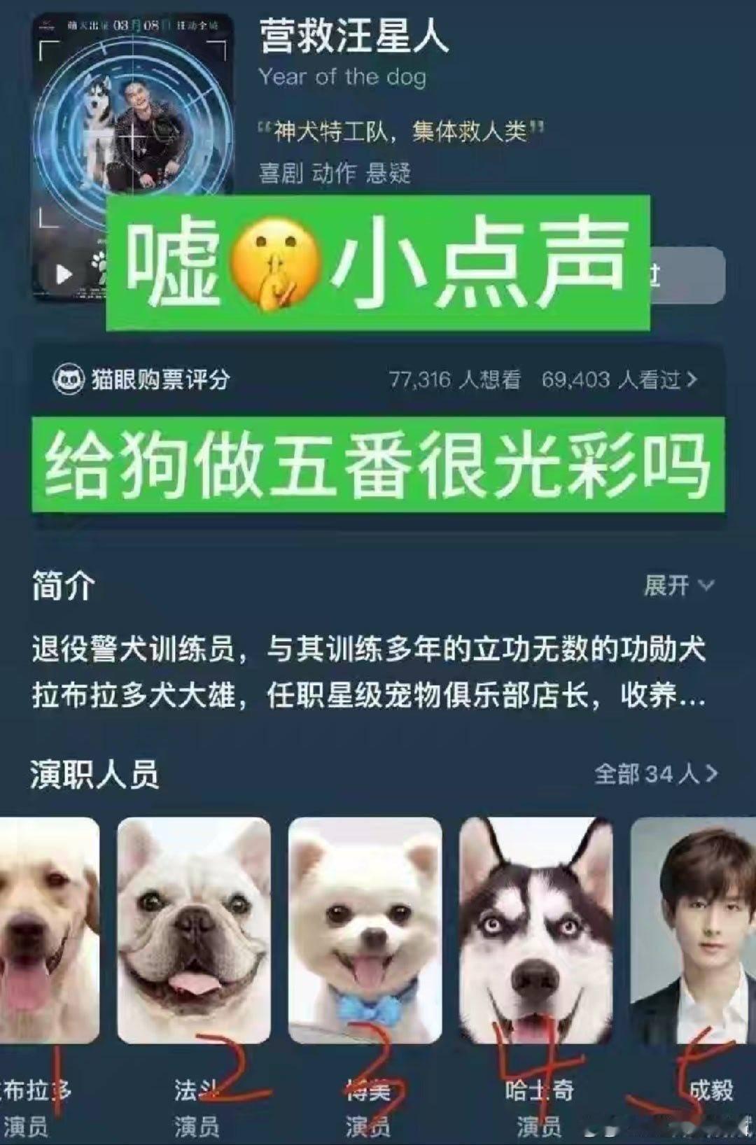 iejj大肆宣传过cy是狗狗们的五番[doge]​​​