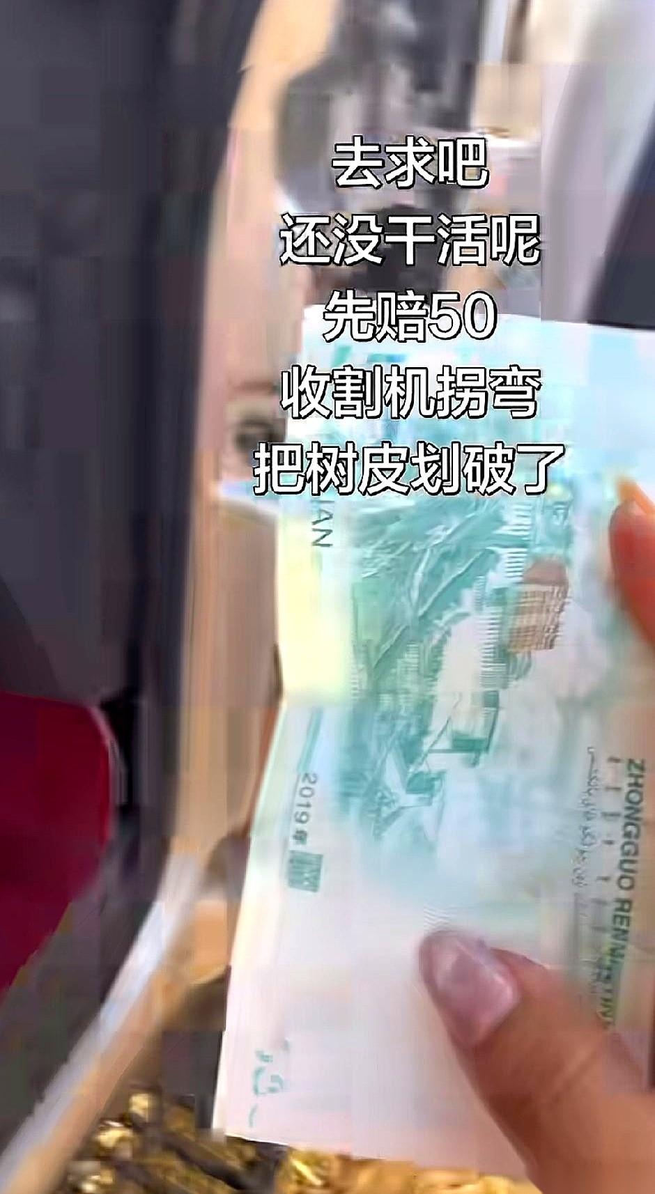 河南麦收季，一个外地来的收割机师傅，活儿还没开干，先掏了五十块钱。机器刚轰隆隆