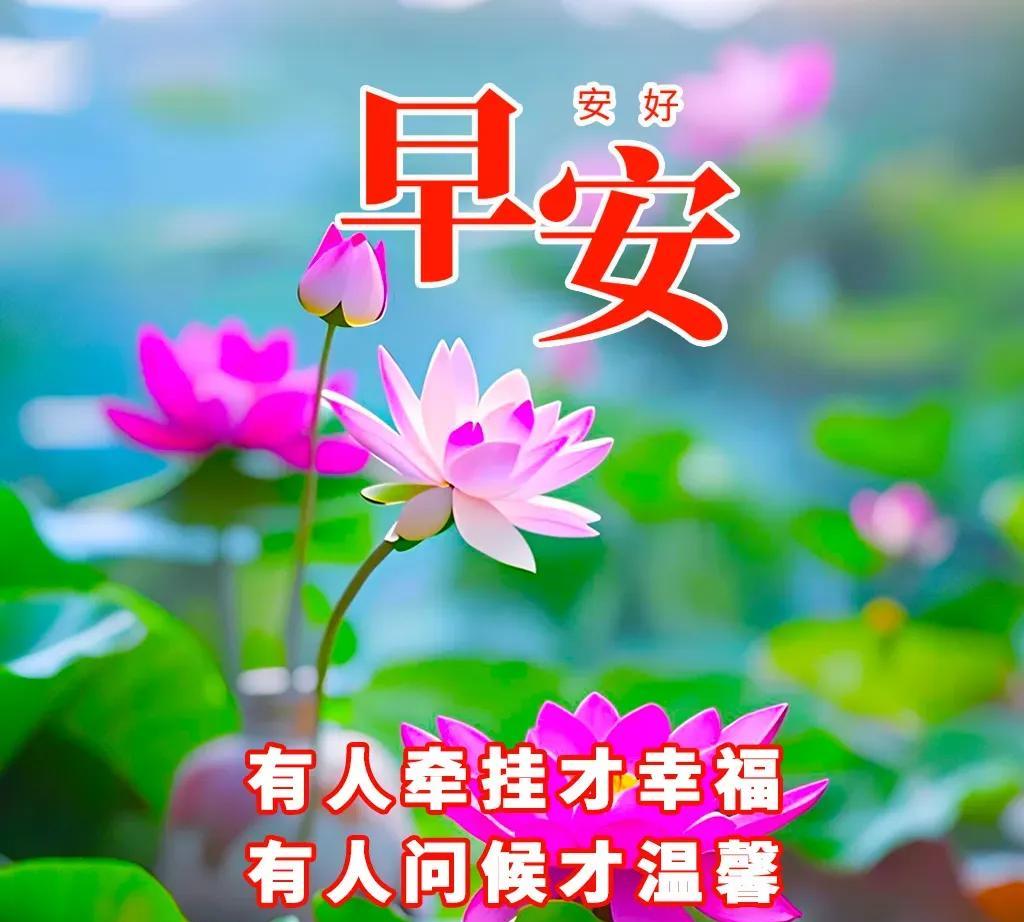 晨起福门开，好运自然来。愿你带着微笑出发，把烦恼留在昨天，把希望种在今天。像大树