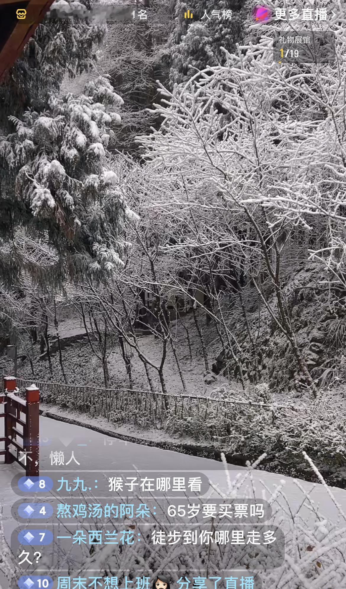 今日成都游玩第1名-耍雪！成都旁边的景区下雪了，景区里面银装素裹，白雪飘扬，