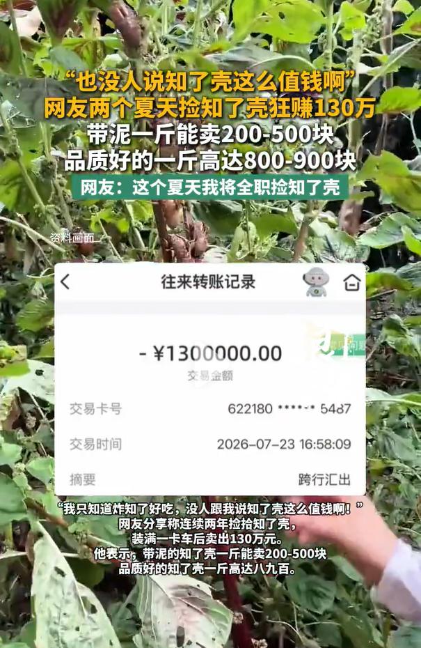 近日，有媒体称，一个网友捡了两个夏天的知了壳，狂赚130万，视频里还显示了130