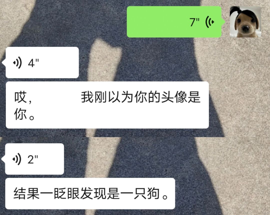 原谅我们近视人群