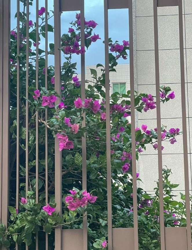 退休后不诉苦、不炫耀，那些在朋友圈“装死”的女人，后来都怎样了？发现一个有意思