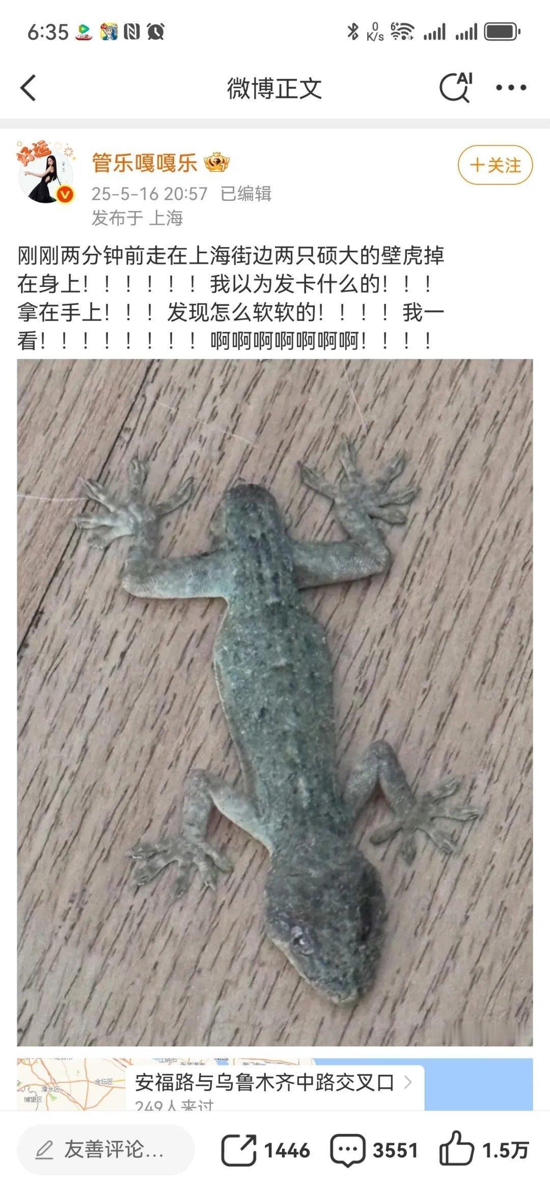 当红艺人管乐近日在社交平台分享了一段惊险遭遇——在上海安福路乌鲁木齐路口，两只"
