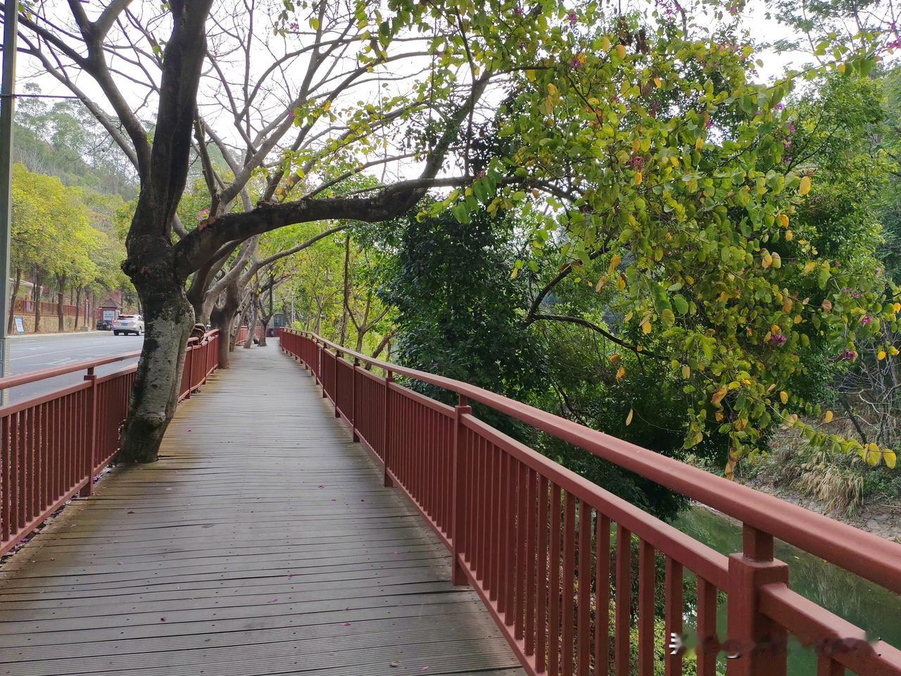 惠州红花湖实乃宝藏之地18公里绿道宜骑行徒步我曾前往一路风景如画湖水