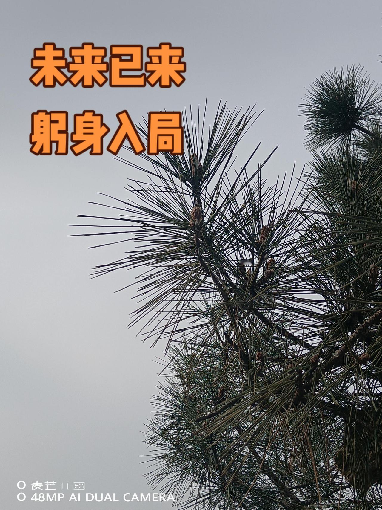 上热门话题随时随地记录身边事用抖音记录人生摄影日记足迹原创