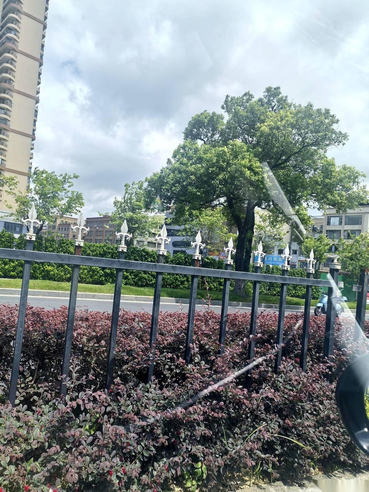 千万别嘴欠。特别是当所有亲戚正对着一个小女孩“仙气飘飘”的名字疯狂上头的时候。