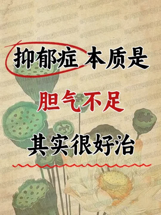 抑郁症本质是胆气不足其实很好治 . 	 抑郁症，心神被“吓跑”了，不是...