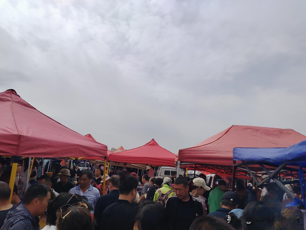五一假期最后一天闪现安宁渠大集，果然名不虚传，乌鲁木齐第一集！！！