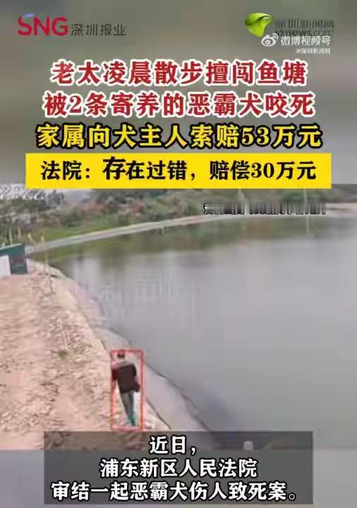 这个案件的详细情况是这样的：老太太快80岁了，凌晨5点出去散步，看到鱼塘里有粽叶