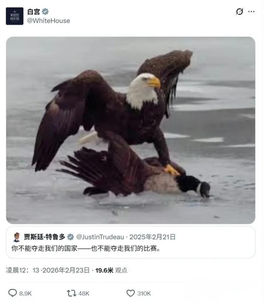 加拿大觉醒了，从“躺平任嘲”到“掀桌子”以前大家总觉得加拿大是美国的小跟班，