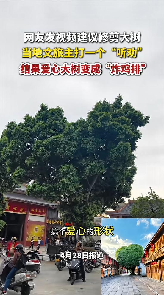 “笑不活了！”4月28日报道，广东揭阳，一男子发现一棵大树的形状像爱心，建议