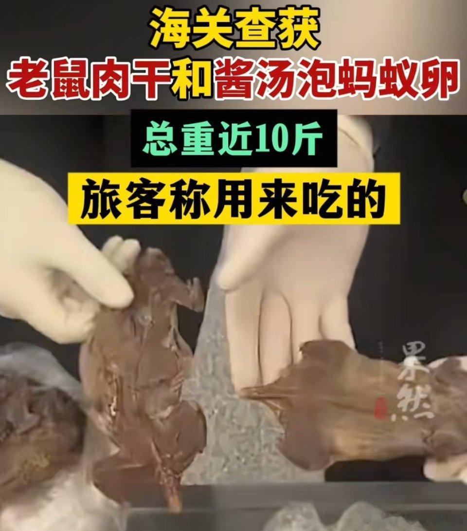 🔻哪来的小馋猫，谁会吃老鼠肉干和蚂蚁卵？海关查获老鼠肉干和酱汤泡蚂蚁卵